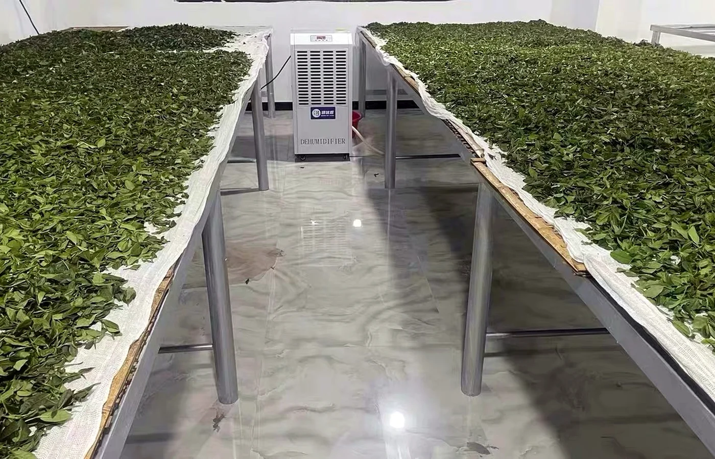 Industrial dehumidifier positioned between drying racks for tea and agricultural materials